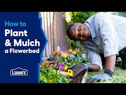 how to plant and mulch a flowerbed