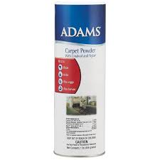 adams plus flea and tick carpet powder
