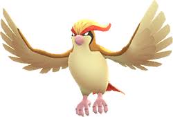 Pokemon Lets Go Pidgeot Moves Evolutions Locations And