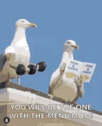 Lift your spirits with funny jokes, trending memes, entertaining gifs, inspiring stories, viral videos, and so much more. Nemo Seagulls Gifs Tenor