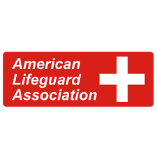 Lifeguard Certification Classes Near Me