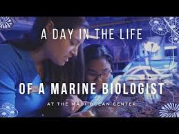life of a marine biologist in hawaii