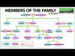 Members Of The Family In English Youtube