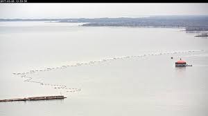 Removal Of The Lake Erie Niagara River Ice Boom See It On