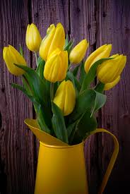 Exquisitely charming and stunningly vibrant, this assortment of potted yellow tulips shimmers with bright cheer and vivid color! 42 Yellow Tulips Ideas Yellow Tulips Tulips Yellow Flowers