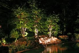 Where To Place Landscape Lighting