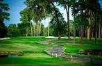 Hyde Park Golf Club in Jacksonville, Florida, USA | GolfPass