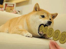 Interested in mining dogecoin (doge)? Download Dogecoin Gif Png Gif Base