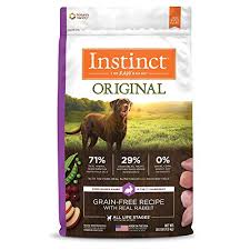 the best dry dog food 2023 according