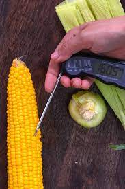 how to microwave corn on the cob the