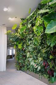 Indoor Garden Design Ideas 10 Great