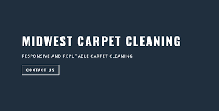 the 7 best carpet cleaning companies in