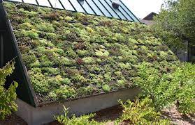 Green Roof Construction How To Make A