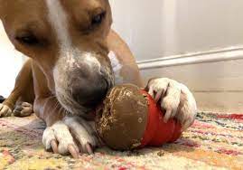 what to stuff in a kong dog toy