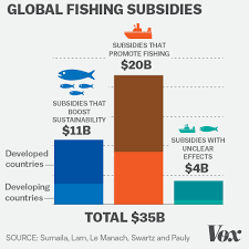 How The World Subsidizes Overfishing In Two Charts Vox