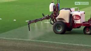 Image result for old trafford pitch grass with garlic
