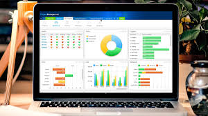 20 best project management software for