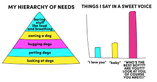 7 Hilariously Accurate Charts Youll Only Understand If You