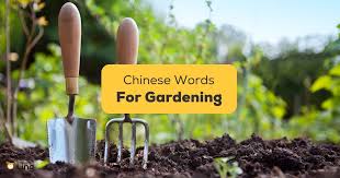 27 easy chinese words for gardening