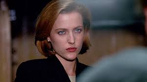 gillian anderson really didn t care for