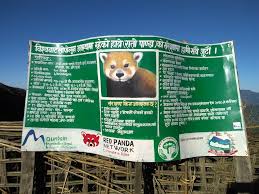 Animals name in sanskrit | जानवरों के नाम संस्कृत में. Red Pandas In India Are Being Trafficked Into Extinction And Laws Stand In The Way