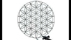 how to draw the flower of life you