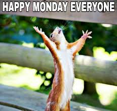 When the weekend should never have ended but it did. Happy Monday Meme Very Funny Makes You Lough