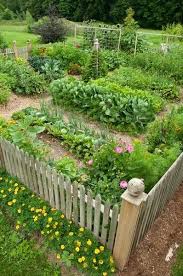 1001 Gardens Vegetable Garden
