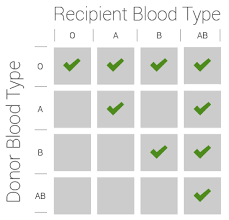 Blood Type Chart Donor And Recipient Blood Type And Donor Chart