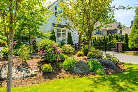 101 front yard landscaping ideas