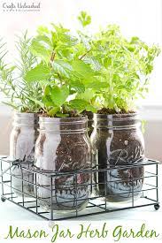diy herb garden in mason jars crafts