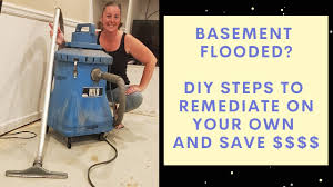 flooded bat cleanup diy tips to
