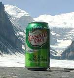 What company makes Canada Dry ginger ale?