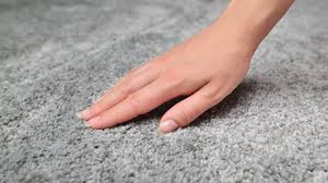 bring your matted carpet back to life