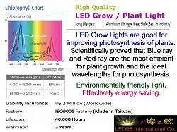 Led Grow Plant Lamp Led98 International Co