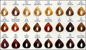 Loreal Excellence Creme Color Chart Brown Hair Colors