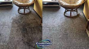 carpet cleaners in bridgeport ct