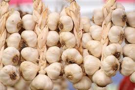 How To Plant Grow And Harvest Garlic