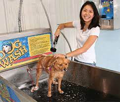 These steps will have you washing your dog like a pro! Dog Wash In Tucson Az Rita Ranch Rv Self Storage