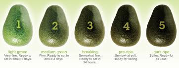 Chart Avocado Ripe O Meter The Tasty Green Life