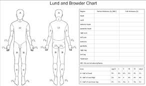 Lund Browder Burn Calculation Related Keywords Suggestions