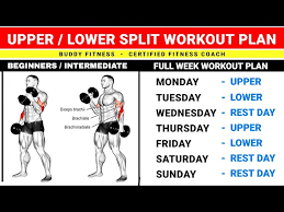 best upper lower split workout plan