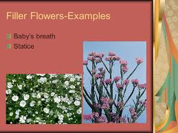 You can order plants from select seeds. Floral Design Types Of Flowers Ppt Video Online Download