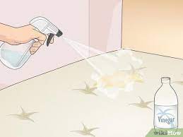 4 ways to get rid of urine smell wikihow