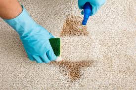 singapore carpet cleaning and sofa cleaning