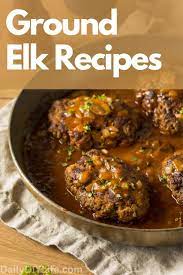 24 ground elk recipes