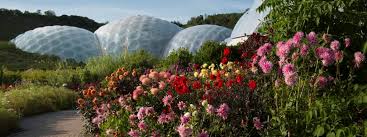 Eden Project Eco Tourism Attractions