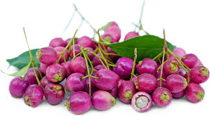 Lilly Pilly Berries Information And Facts