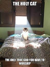 SharrdWolf - Stray Fawn Community