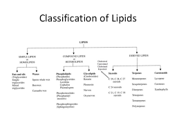 72 All Inclusive Classification Of Lipids Flowchart